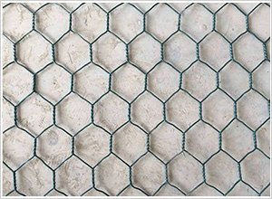 PVC石籠網(wǎng) PVC石籠網(wǎng)