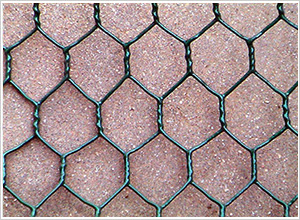 ��ƽʯ�\�W(w��ng)