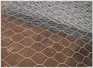 ���zͿ��ʯ�\�W(w��ng)