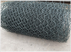 ���ܸ��e�W(w��ng)