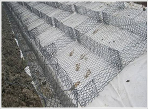 僸ߠ������e�W(w��ng)