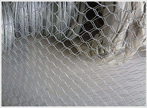 ��\���e�W(w��ng)��