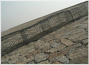 ��Ѵ�U�z�W(w��ng)Ƭ