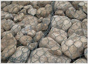 ���ܸ��e�W(w��ng)