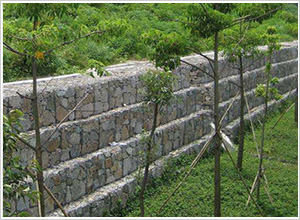 ���e�����W(w��ng)