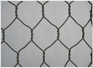 ���eʯ�\�W(w��ng)