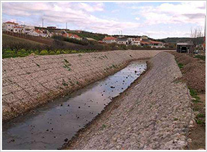 ���e�W(w��ng)�o(h��)��