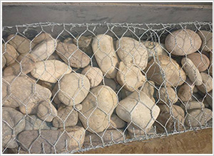 ���zͿ��ʯ�\�W(w��ng)