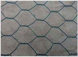 Ϳ����\�G��W(w��ng)��