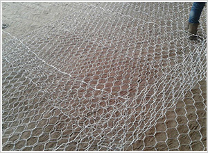 ʯ�\�W(w��ng)�r��