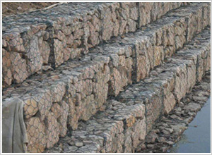 ʯ�\�W(w��ng)������