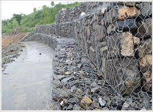 ʯ�\�W(w��ng)�S��