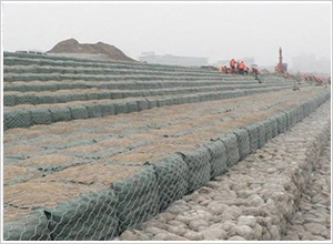 ʯ�\�W(w��ng)�S