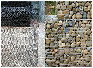 生態(tài)格網(wǎng) 生態(tài)格網(wǎng)