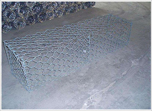 �U�z�W(w��ng)Ƭ