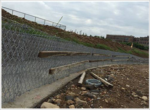 ���e�\�r��