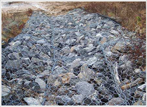 �o(h��)�¸��e�W(w��ng)