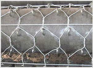 �ӽ���e�W(w��ng)