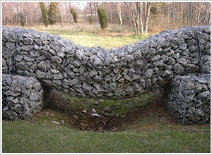 ���^ʯ�\�W(w��ng)