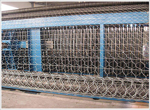 加筋石籠網(wǎng) 加筋石籠網(wǎng)