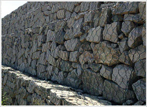 ���Z�o(h��)�|�S��