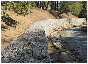 �U�z���e�\