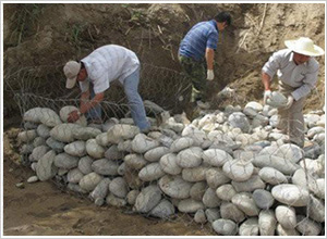 �U�z�\�r��